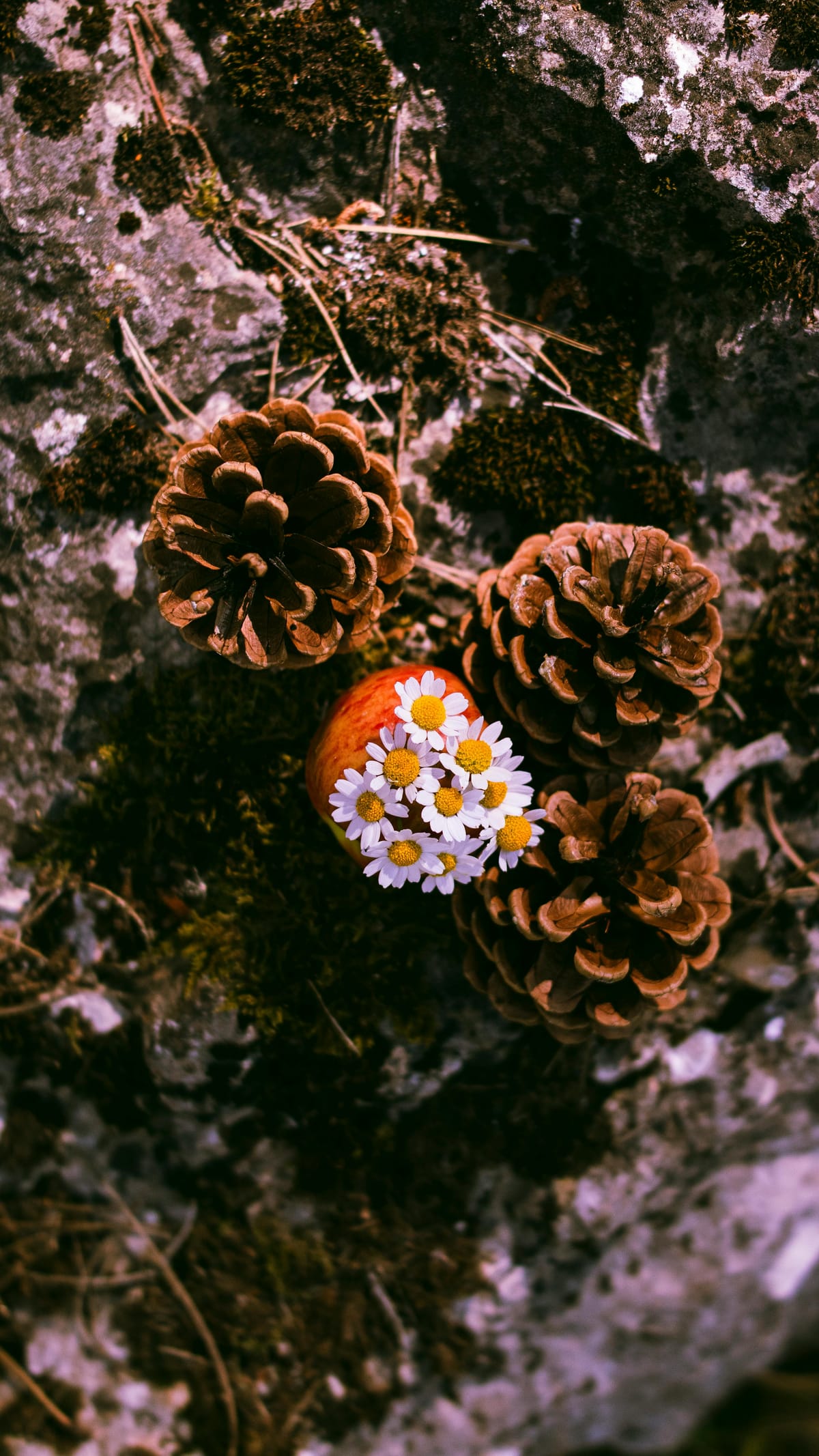 Rubrika: Inspirace